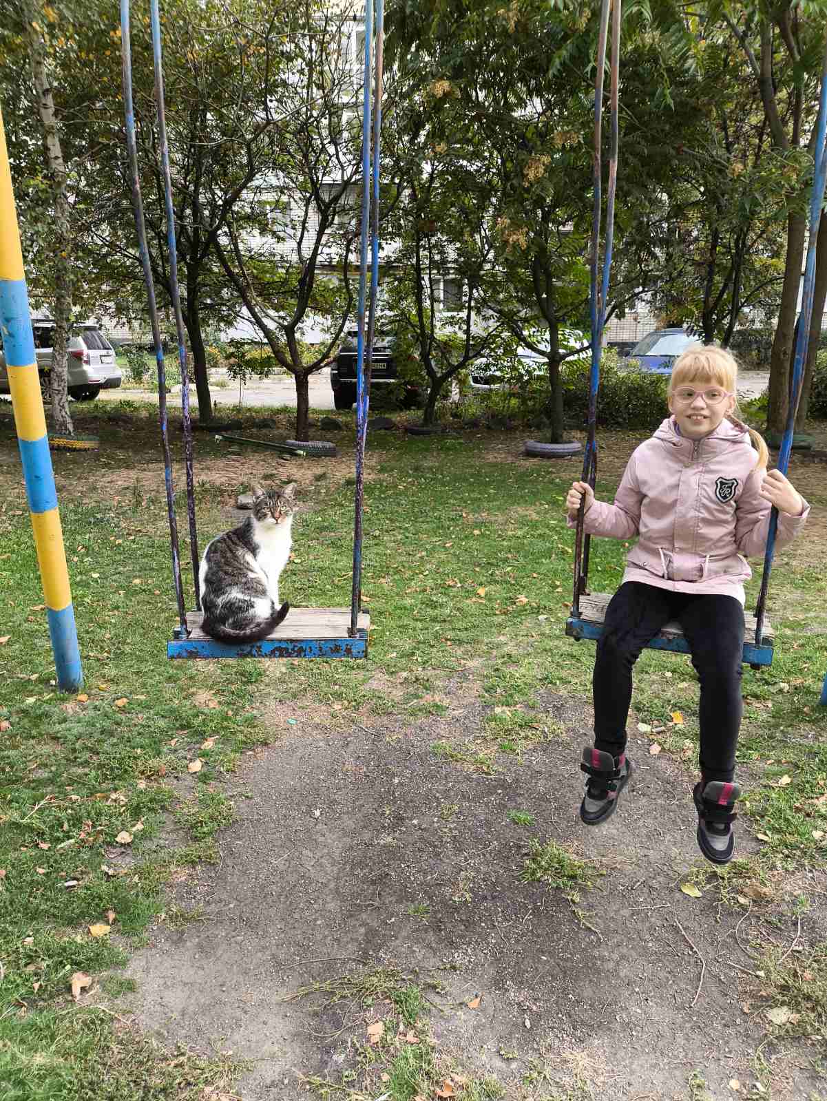 зображення_viber_2025-10-06_15-54-06-141