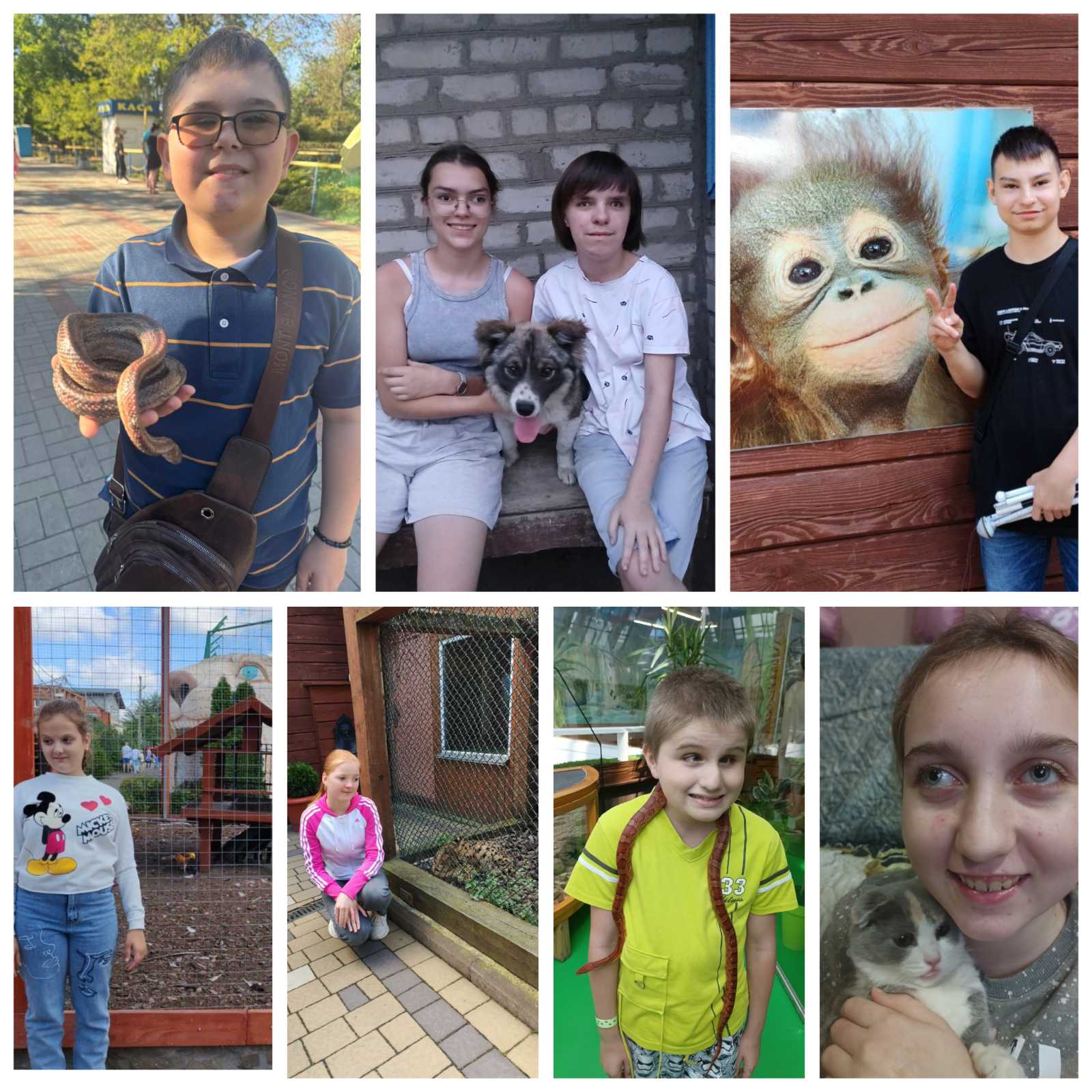 зображення_viber_2025-10-06_15-54-08-065