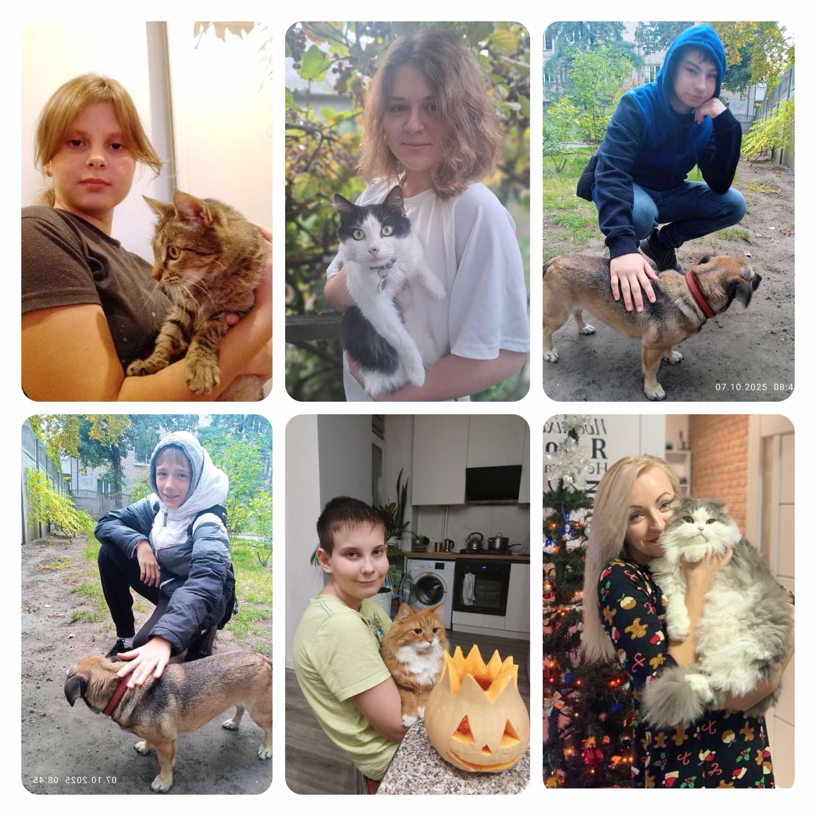 зображення_viber_2025-10-07_09-35-28-028