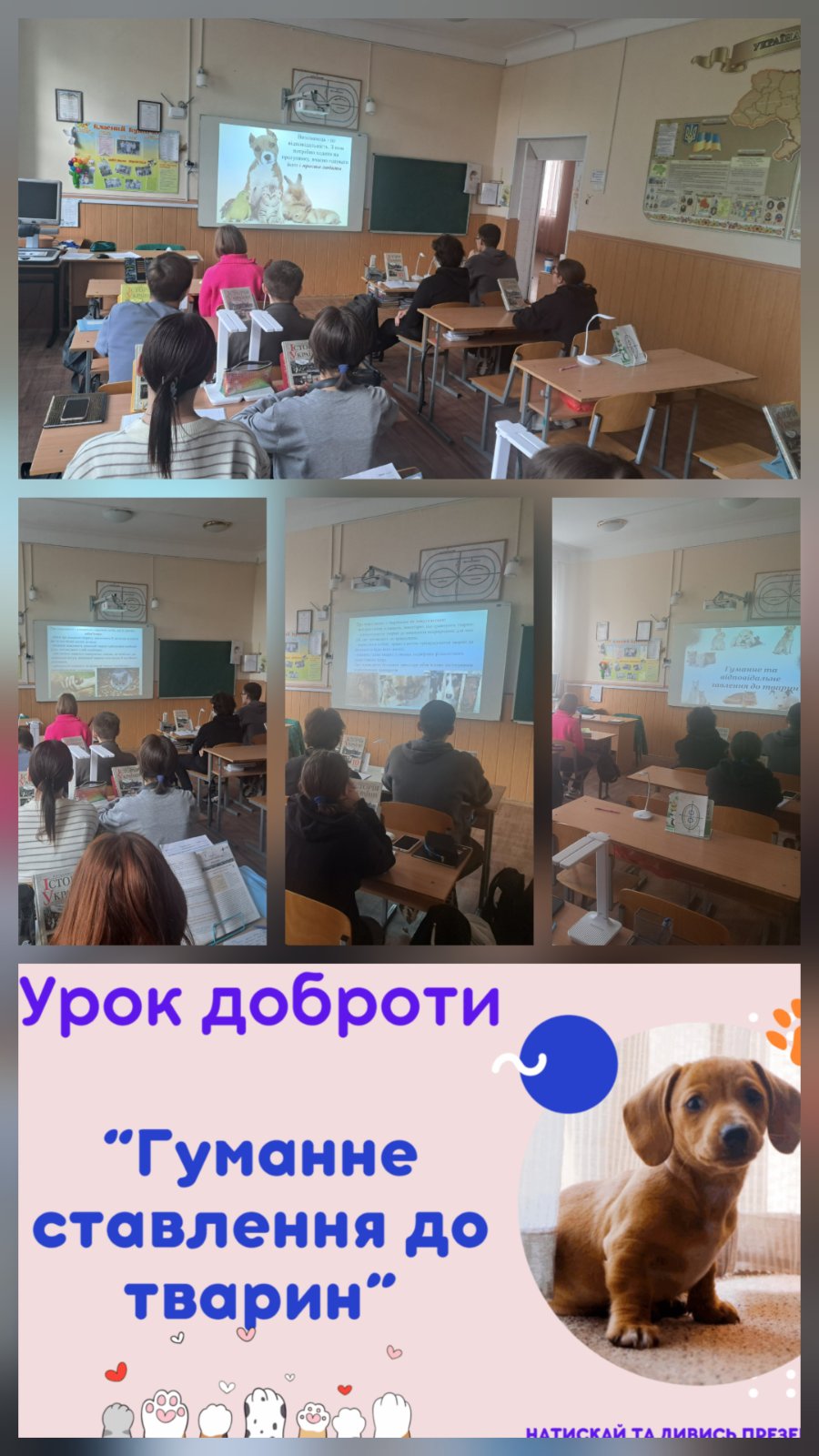 зображення_viber_2025-10-08_09-11-46-127