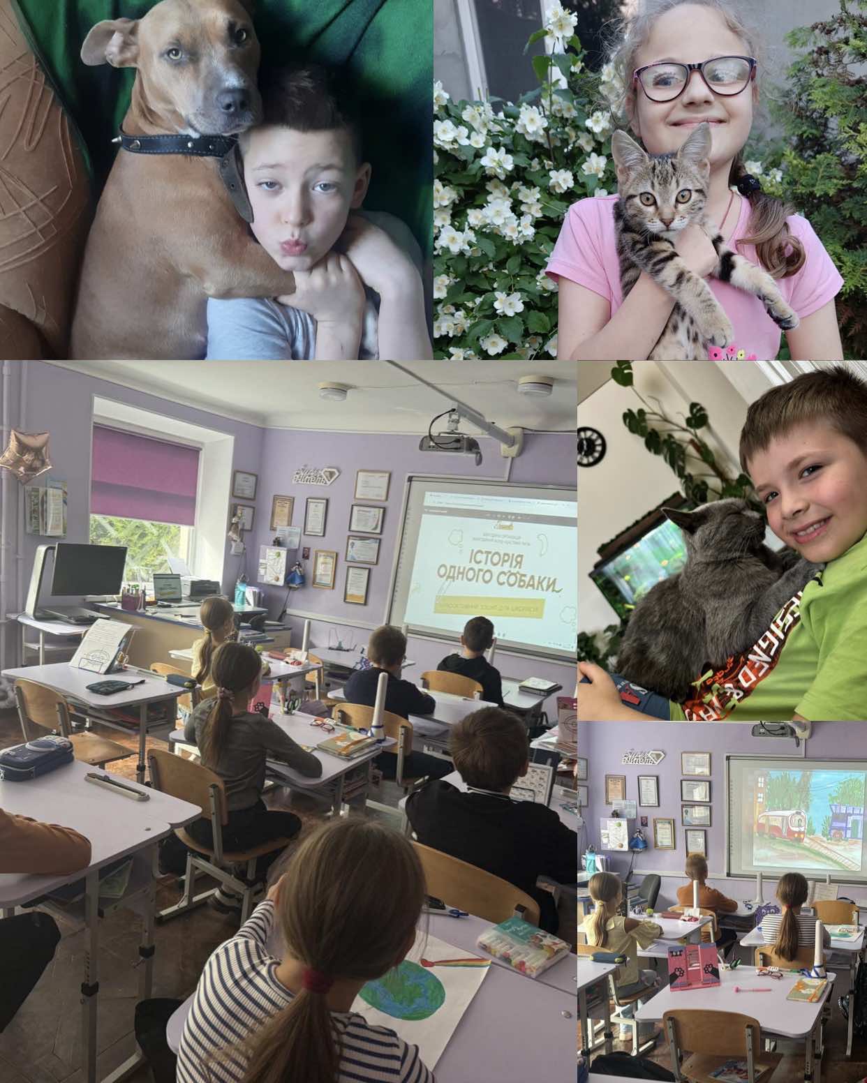 зображення_viber_2025-10-08_14-29-42-533